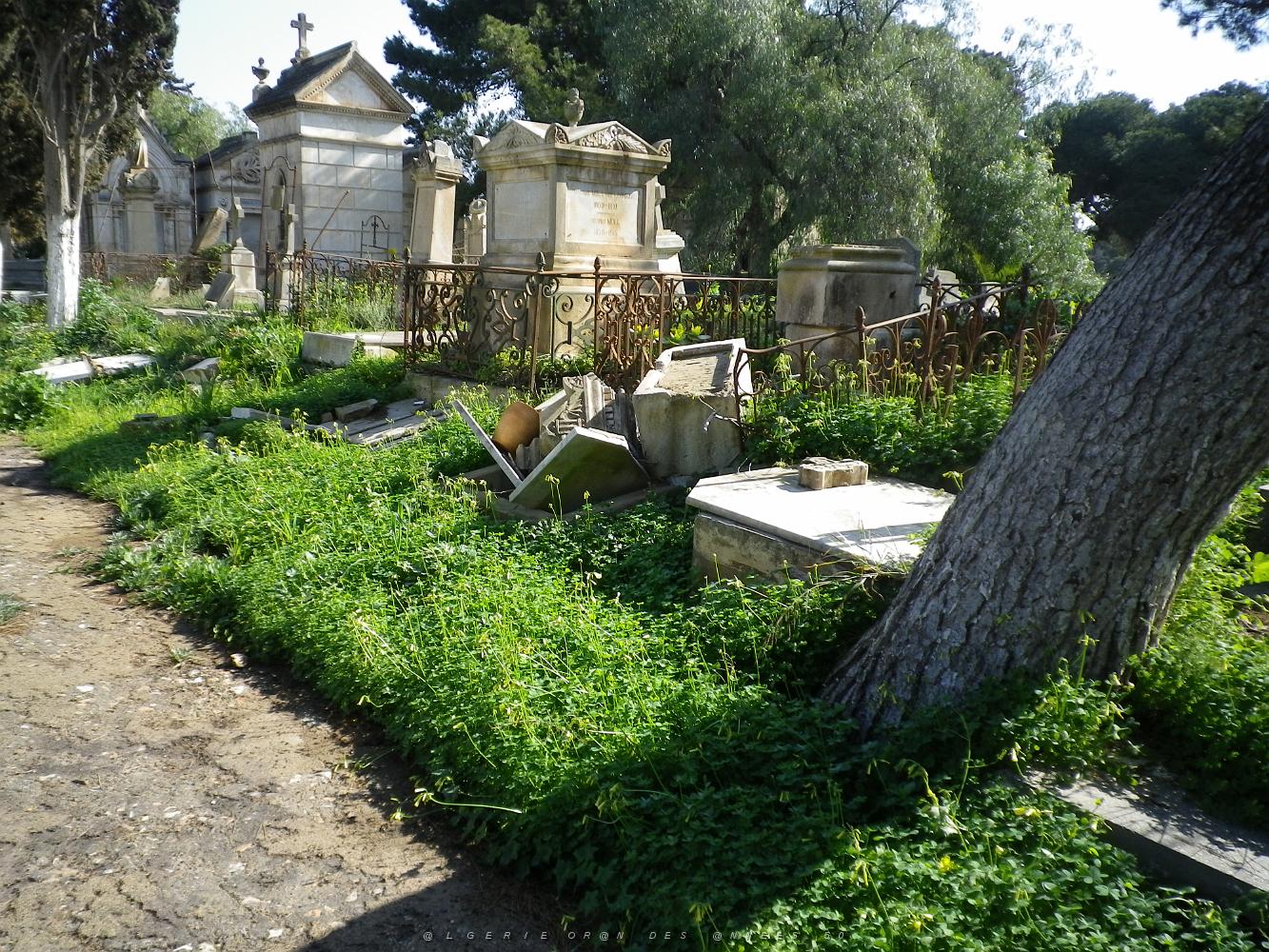CIMETIERE DE TAMAZOUHET D ORAN EN MARS 2012  (118).JPG